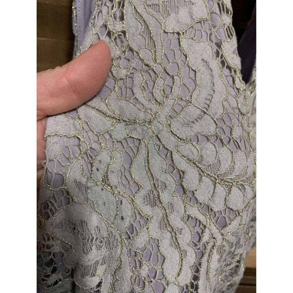 Embrace Lined Lace Party Dress Boho Cottage Y2K Gray Size Large - Picture 4 of 8